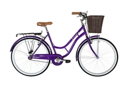 Barracuda Comfort Bike Barracuda Women's Delphinus Bike, Purple, 19 Inch