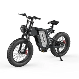 CANTAKEL Bike CANTAKEL Electric Bike, 20 Inch Fat Tire Snow Off-Road Electric Bike with 48V 25AH Removable Lithium Battery, Shimano Professional 7-Speed Transmission and LCD Display.