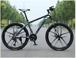 Chenbz Mountain Bike Chenbz Outdoor sports Mountain Bike, High Carbon Steel Front Suspension Frame Mountain Bike, 27 Speed Gears Outroad Bike with Dual Disc Brakes, Gray