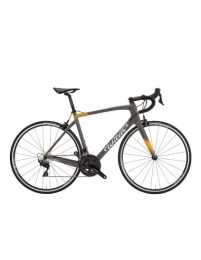 Wilier Triestina  Vélo de course en carbone WILIER GTR TEAM Campagnolo Centaur 11v REFLEX - Gris, S