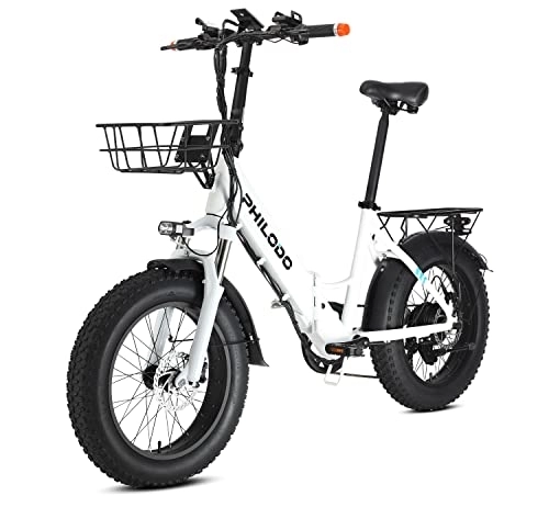 Bici elettriches : 20" Bicicletta Elettrica, Bici Elettrica con Pedalata Assistita, 250W Motore, Batteria Al Litio 48V / 13Ah 70Km, Hydraulic Brake, Shimano a 7 Velocità, con Cestino Frontale, Nessuna Targa Richiesta