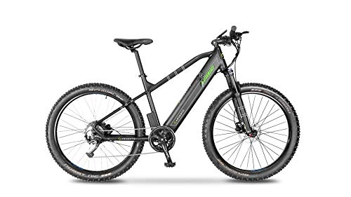 Bici elettriches : Argento Bicicletta elettrica Performance Mountainbike, Unisex Adulto, Nero e Verde, taglia unica