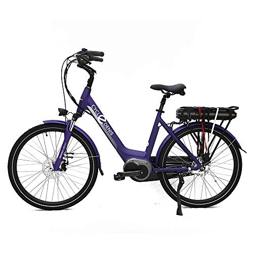 Bici elettriches : Bicicletta elettrica, 250 Watt, 26 pollici, 36 V / 13 Ah, batteria agli ioni di litio Trekking Pedelec (viola)