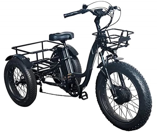 Bici elettriches : Bicicletta elettrica a 3 ruote, bici elettrica triciclo for adulti 7 velocità, 75 0W 48V 16. Ah batteria rimovibile, triciclo elettrico da 20 pollici, cestini da carico anteriore e posteriore manubri
