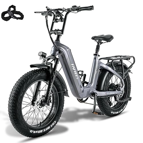 Bici elettriches : Fafrees F20 Master [UFFICIALE ] E-bike da uomo 20 pollici, e-bike per adulti ebike da 165 – 200 cm, batteria da 48 V / 22, 5, 60 N.m Ebike Fatbike Shimano 7S, freni a disco idraulici da 20