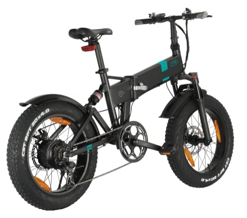 Bici elettriches : FIIDO M21 Bici elettriche Pieghevoli per Adulti, Mountain Bike elettrica da 250 W 36 V, Bicicletta elettrica Pieghevole da 20 Pollici, Guida a Lunga Distanza di 100 km(Nero)