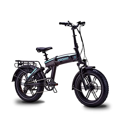 Bici elettriches : JOBOBIKE E-Bike 250 W motore posteriore 48 V / 11, 6 Ah, batteria da 20 pollici, ruota pieghevole a 7 marce, cambio a sospensione, bicicletta elettrica, mountain bike elettrica fino a 100 km di portata