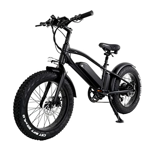 Bici elettriches : LIU Bicicletta elettrica per Adulti 750W Bicicletta elettrica da Montagna 10Ah Batteria al Litio 20 Pollici Bicicletta elettrica con Pneumatici Grassi 45km / h (Colore : 750W48V10AH)