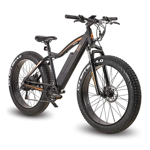 Bici elettriches : Mountain Bike elettrica da 26 Pollici con Pneumatici Grassi con Motore da 500 W, Batteria Rimovibile da 48 V, 7 Marce, Display LCD a 5 velocità, Bici elettrica da 20 mph per Adulti