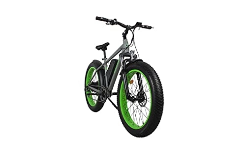 Bici elettriches : Mountain bike elettrica olimpica A4
