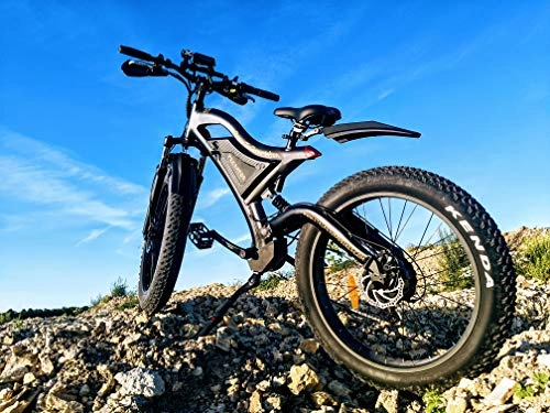 Bici elettriches : STALKER Mad Bike® Predator - Electric Fat Bike 26x4 750W 48V 11.6Ah 120Nm