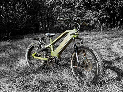 Bici elettriches : STALKER Mad Bike - Torcia elettrica Tropical Green 26 x 4, 8 1000 W 48 V 30 Ah 160 Nm (Tropical Green)