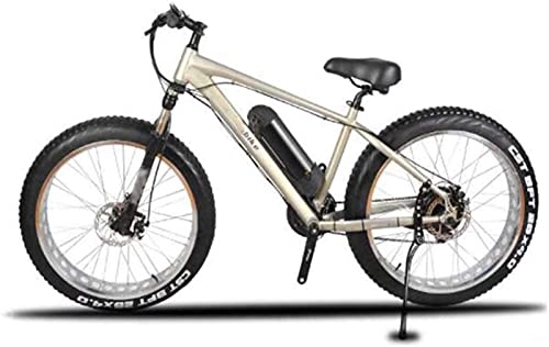 Bici elettriches : ZJZ Biciclette elettriche Bicicletta, Diametro della Ruota da 26 Pollici 350W Biciclette per Adulti Sport a 21 velocità Ciclismo all'aperto