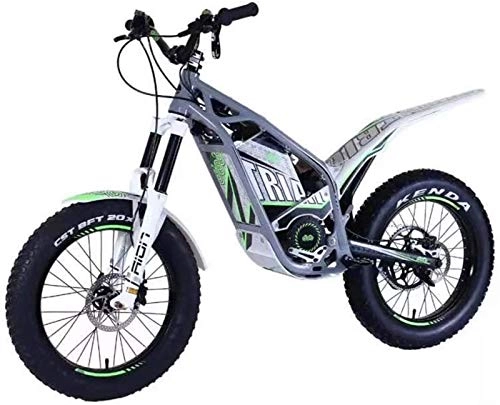 Bici elettriches : ZJZ Dirt Bike D1 20 E 24 Pollici Dirt Bike Elettrica per Adulti, Motocicletta Elettrica con Batteria 30ah Motore 1200w Dc, Freno A Disco Idraulico, Grigio