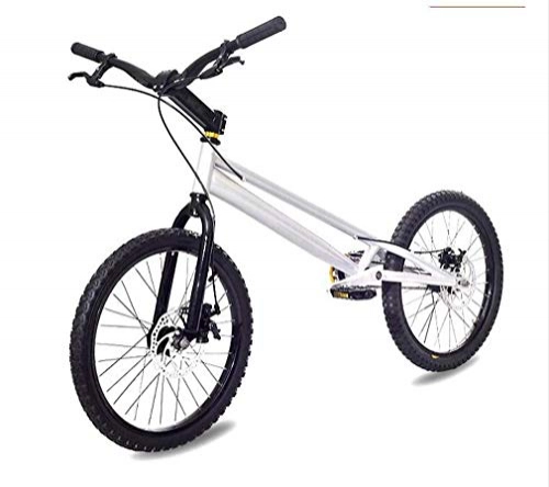 BMX : SWORDlimit Freestyle BMX Bike / Bicicletta da Arrampicata per Principianti e avanzati, Telaio in Lega di Alluminio Leggero ad Alta Resistenza, (Freno a Disco Meccanico, volano a 36 Giri)