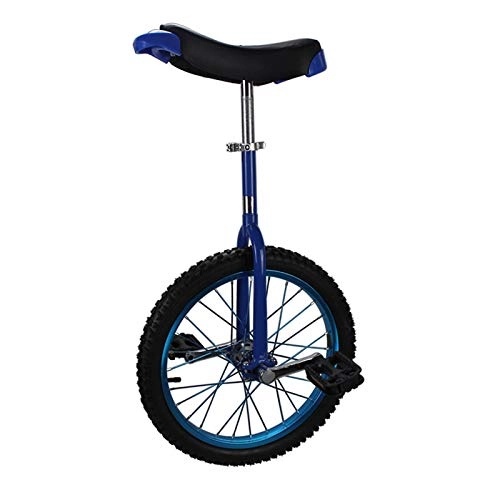 Monocicli : AHAI YU Bambino Outdoor Monociclo, Bilanciamento della Ruota di 14 Pollici Ciclismo, per Il bilancio dell'esercizio del Fitness Ciclismo Come i Regali dei Bambini (Color : Blue)
