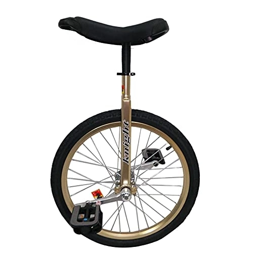 Monocicli : GAXQFEI 20" / 24" Monociclo D'Oro per Big Kid / Adolescente / Adulti / Femmina / Maschile, per Fitness Esercizio Principiante, Skid Proof Wheel in Ley Rim Bike, 24Inch.