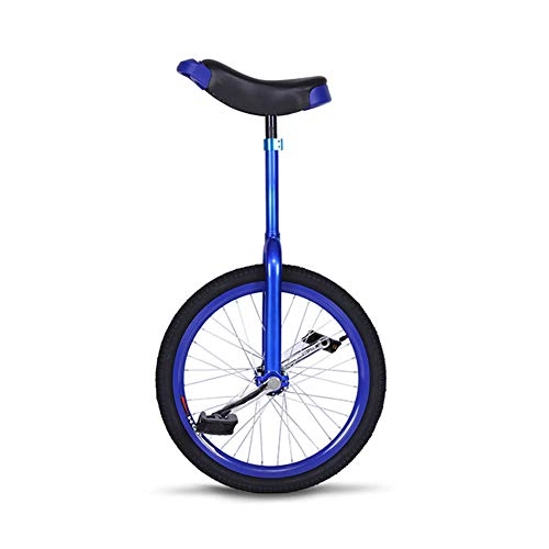 Monocicli : Qnlly Ruota da 20"Monociclo Ruota per Pneumatici in butile a Tenuta stagna Ciclismo Sport all'Aria Aperta Fitness Esercizio Monociclo Ruota a Spalla Ruota Singola BMX, Blu