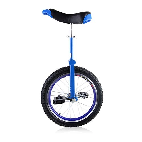 Monocicli : YYLL Bici Blu Monociclo acrobatico Balance Biciclette Scooter Bicicletta Sport Fitness Exercise (Color : Blue, Size : 24inch)