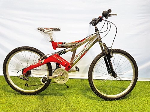 Mountain Bike : CINZIA Bici Bicicletta 24 FREESWING Full Suspension in Alluminio 18V