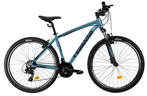 Mountain Bike : DHS Teranna 2723 27, 5 Pollice 42 cm Uomini 21SP Freni a Cerchio Blu