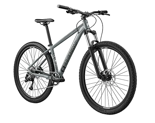 Mountain Bike : Eastern Bikes Alpaka - Mountain bike in lega per adulti, 29", colore: Grigio
