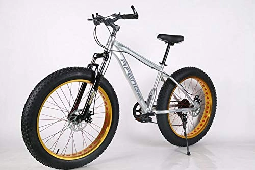 Mountain Bike : JDLAX Bicicletta in Lega di Alluminio Fat Bike 7 Mountain Bike a velocit variabile Allarga Le gomme di Grandi Dimensioni Neve Fuoristrada da Spiaggia Adatto Come Regalo, Argento