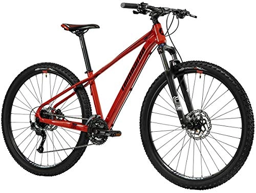 Mountain Bike : LOMBARDO BICI SESTRIERE 350 Ruota 29 24V SUNTOUR XCM HLO New Gamma 2022 (Red Black Glossy, 45 CM)
