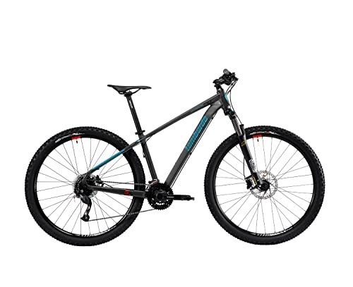 Mountain Bike : Lombardo Mountain Bike 29" Sestriere 350 D TitaniumTiff (42 (M))