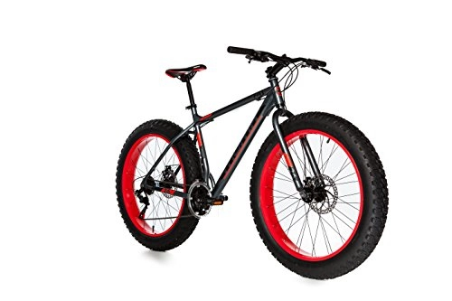 Mountain Bike : Moma Bikes Fat Bike 26 x 4.0 Alluminio Shimano 21 V Bicicletta, Unisex Adulto, Grigio, Sì