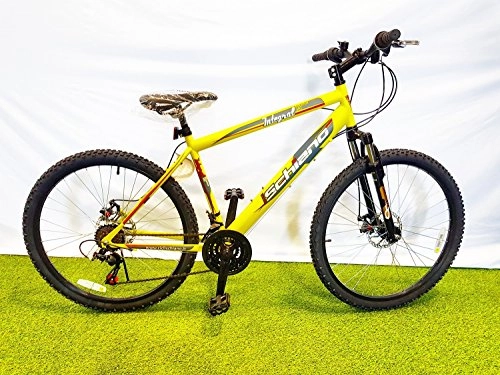 Mountain Bike : SCHIANO Bici Bicicletta 26' Integral Dual Disk Freni A Disco (Arancio-Giallo)