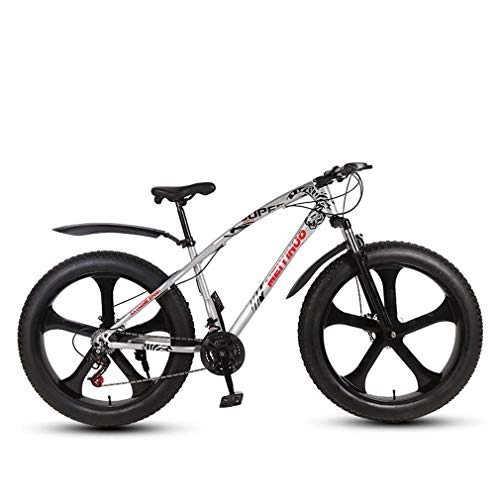 Bicicletas de montaña : AISHFP Bicicleta de montaña Fat Tire para Hombre Adulto, Bicicletas de Playa de Nieve de Velocidad Variable, Ruedas integradas de aleación de magnesio de 26 Pulgadas, Plata, 24 Speed