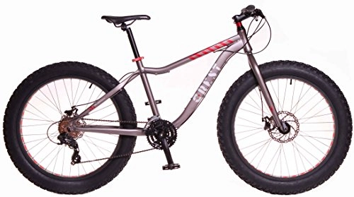Bicicletas de montaña : Crest Bicicleta Fat Bike Fat 4, 1 24v griss 19" Aluminio