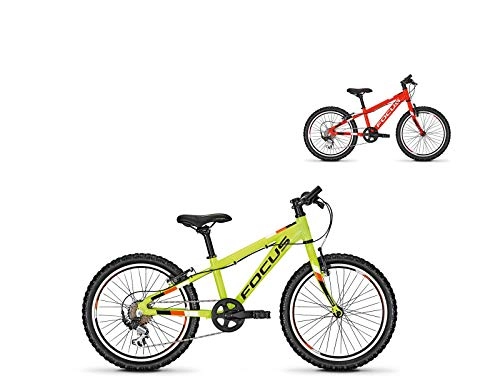 Bicicleta focus raven discount rookie