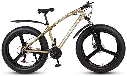 Bicicletas de montaña : HYCy Bicicleta De Montaña para Adultos Fat Tire, Bicicletas De Nieve De Velocidad Variable, Bicicleta De Freno De Disco Doble Beach Cruiser, Ruedas Integradas De Aleación De Magnesio De 26 Pulgadas