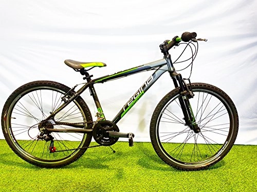 Bicicletas de montaña : Regina Reina Bicicleta Bicicleta MTB 26 Spark 21 V Cambio Stef 40 Nero-Verde