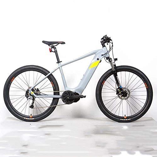 Bicicletas eléctrica : Bicicleta Eléctrica, Aleación Aluminio 36V14A Bicicletas Freno Disco Doble 250W Bike Deportes Aire Libre, Gris