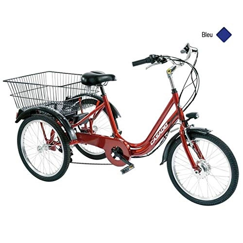 Bicicletas eléctrica : Casadei Anmann H47 - Bicicleta de montaña (3 ruedas, 24 V, 6 V, color azul