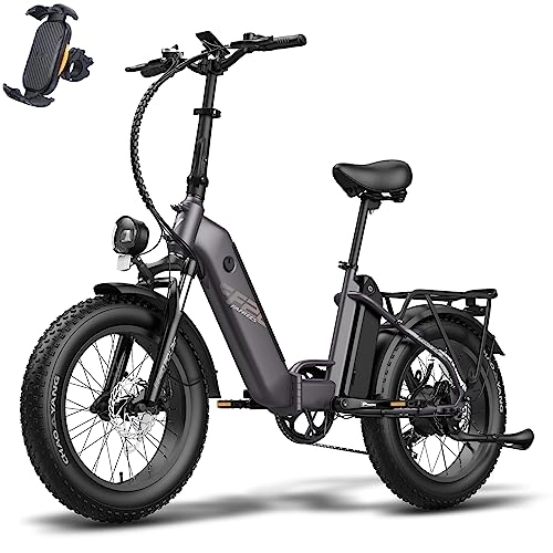 Bicicletas eléctrica : Fafrees FF20 Polar Fatbike E Bike - Bicicleta Eléctrica de 20 Pulgadas para Hombre con Batería de 48 V y 10, 4 Ah x 2 Baterías, Bicicleta Eléctrica Plegable Shimano 7S de 65 N.m hasta 160 KM