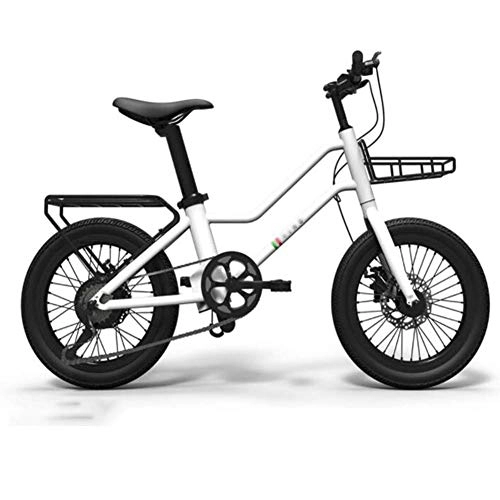 Bicicletas eléctrica : FZYE 20 Pulgadas Bicicleta Eléctrica, Batería Litio Velocidad Variable Bicicletas con Caja Adulto Bike Asistencia 5 Marchas Deportes Aire Libre, Blanco