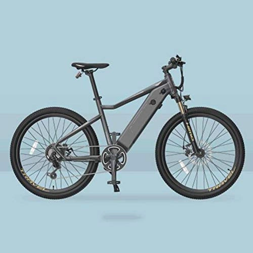 Bicicletas eléctrica : FZYE Aleación Aluminio Bicicleta Eléctrica, Batería Litio 48V 10A Bike Motor 250W Deporte Aire Libre Ciclismo