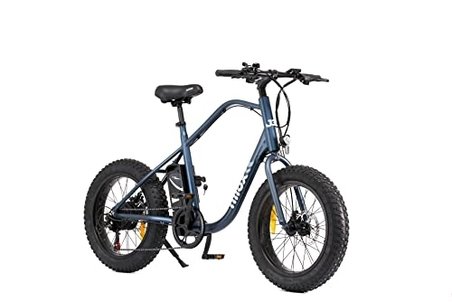 Bicicletas eléctrica : Nilox E-Bike J3, Bicicleta eléctrica con pedaleo asistido, 70 km de autonomía, hasta 25 km / h, batería de litio de 36 V 12, 8 Ah, ruedas de 20", 7 velocidades, frenos de disco