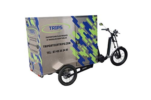 Bicicletas eléctrica : TRIPS - Triportador triciclo eléctrico de 250 kg de carga. Módulos: Street Food Truck Cociine- Trans palets – Pickup – Cargo envío – Taxi – (Cargo)