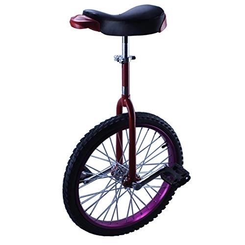 Monociclo : SSZY Monociclo Monociclo de Rueda de 16 Pulgadas para Niños / Niños / Niños, Ciclismo de Equilibrio para Deportes Al Aire Libre, Monociclos de Bicicleta de Soporte Gratuito (Color : Purple)