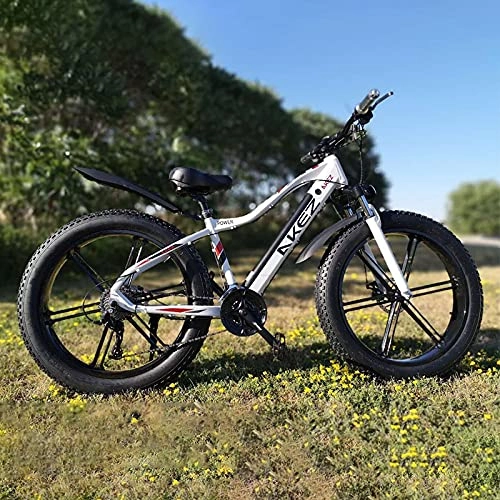 Electric Bike : 26 * 4.0 inch Fat Tire Electric Bicycle 48V 10AH 750W Ebike 27 speed Fatbike (Dark Gray)