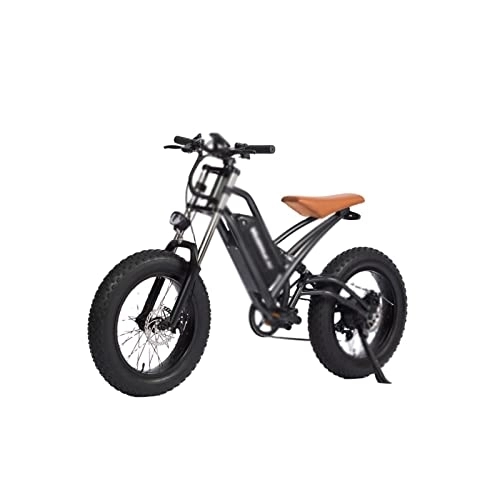 Electric Bike : Adult Electric Bicycles 20 Inch Electric Bicycle Variable Speed Off-Road Booster with Removable Electric Mountain Bike