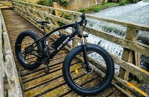 Electric Bike : Black Widow electrical e bicycle 250w 36v