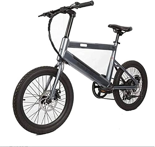 Electric Bike : CASTOR Electric Bike 20 inch Electric Bikes Bicycle, 36V350W Boost Bikes Adult Bicycle 5 gears assist Outdoor Cycling Triangle frame