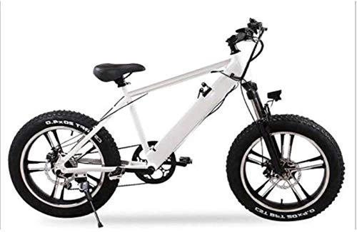 Electric Bike : Fangfang Electric Bikes, 20 inch Electric Bikes Bicycle, 4.0 fat tire Mountain Bikes 48V 10A Removable lithium-Ion battery All terrain LCD display for Outdoor Cycling, E-Bike (Color : White)