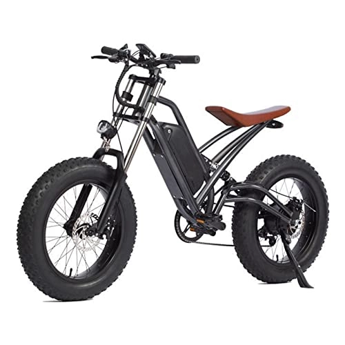 Electric Bike : FMOPQ Electric Bike750W Motor 48V Lithium Battery 20 Inch Fat Tire Electric Assisted Bicycle Double Shock Beach Snow Electric Bicycle (Color : Black)
